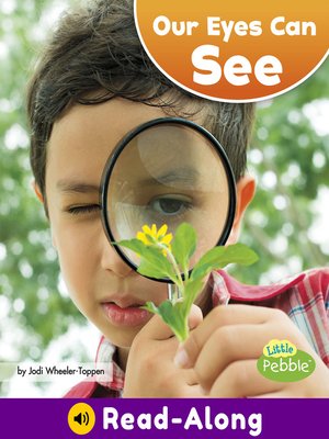 cover image of Our Eyes Can See